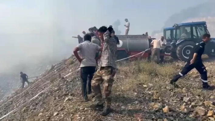 Bursa'da orman yangını: Çok sayıda ekip müdahale ediyor