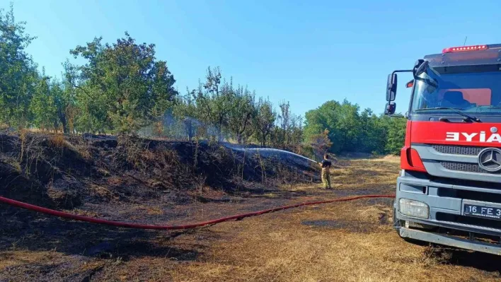 Bursa'da orman yangını