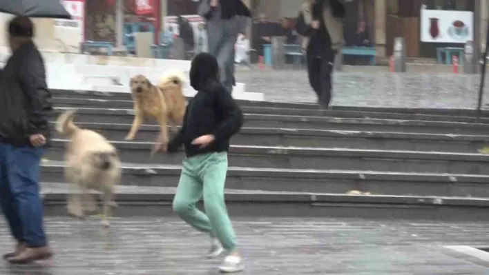 Bursa'da sağanak yağış etkili oldu, yarın kar geliyor