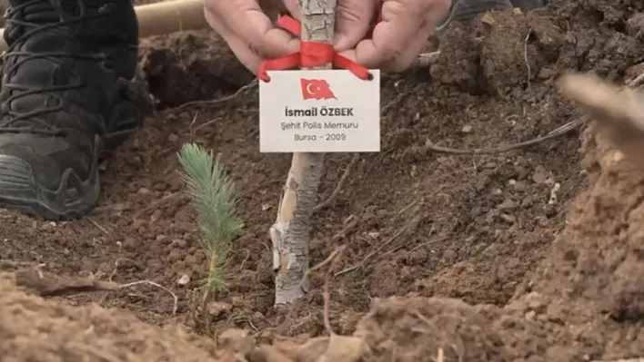 Bursa'da şehitler anısına fidan dikildi