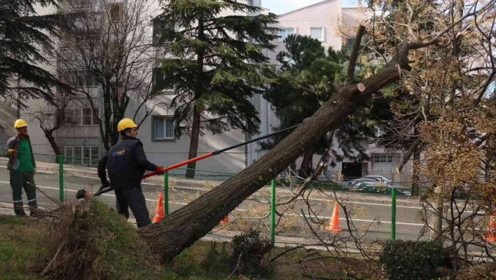 Bursa'da şiddetli lodosun etkisi sürüyor