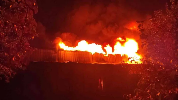 Bursa'da soğuk hava deposunda büyük yangın