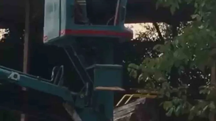 Bursa'da vinç üstünde 'arı alarmı'