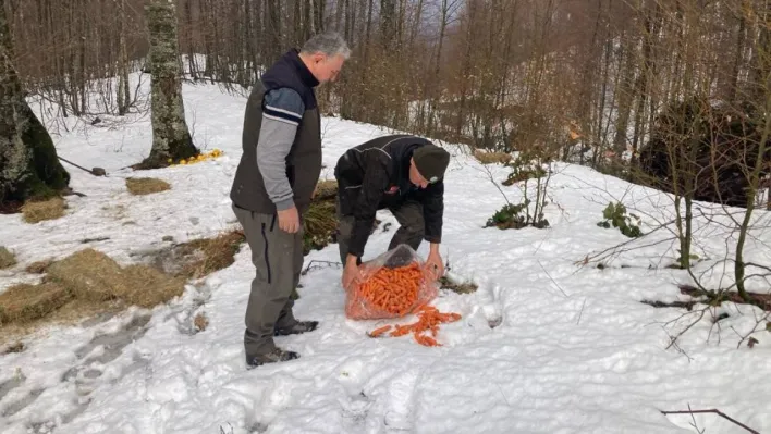 Bursa'da yaban hayvanlarına yem desteği