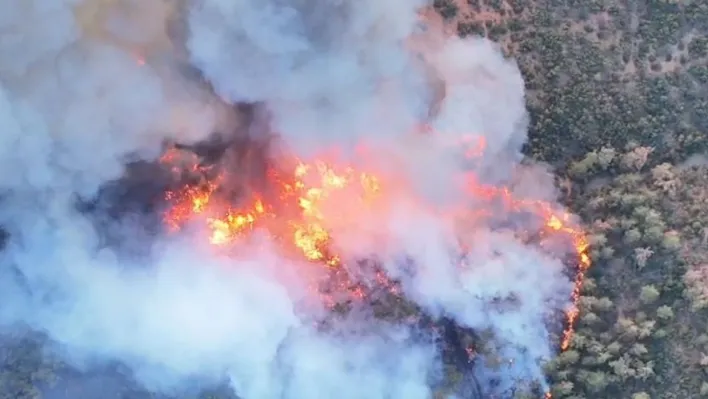 Bursa'daki orman yangınları büyüyor