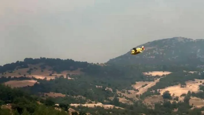 Bursa'daki orman yangınlarına havadan yoğun müdahale