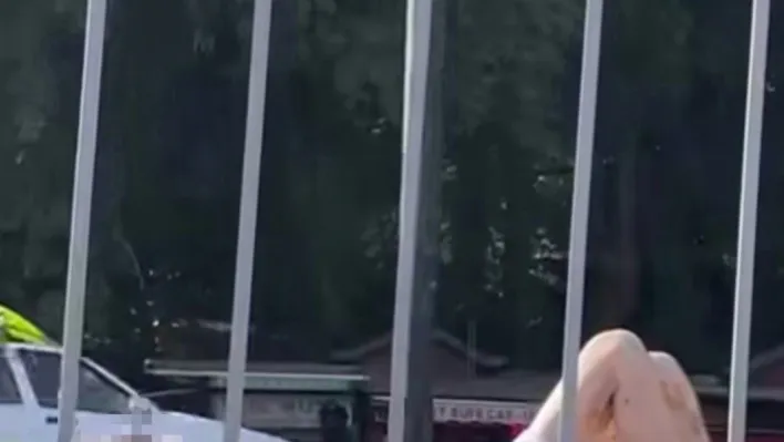 Bursa İl Sağlık Müdürlüğü'nden 'kimsesiz hasta' ile ilgili açıklama