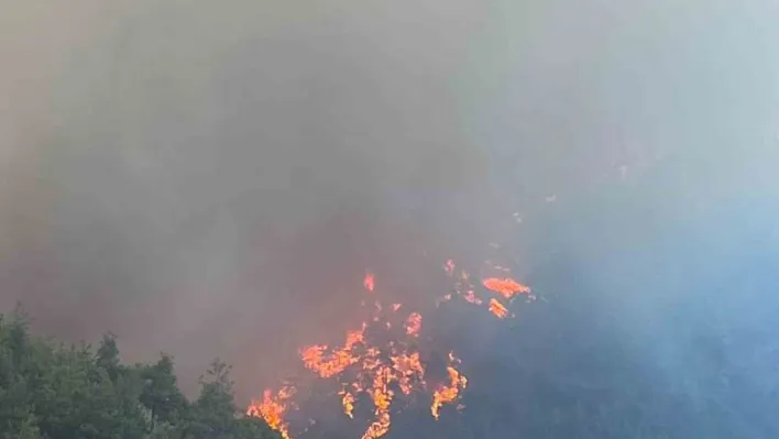 Bursa'nın ciğerleri yanıyor