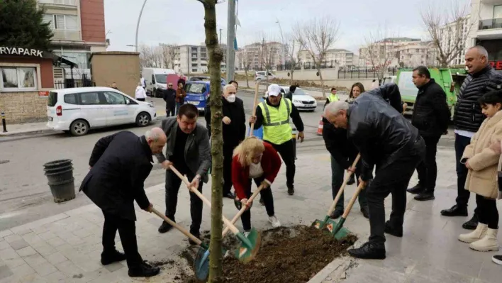 Büyükçekmece'de 2024 yılına 24 mahallede ağaç dikerek girildi