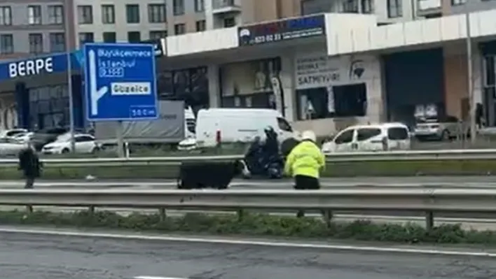 Büyükçekmece'de E-5'e giren dana trafiği kilitledi