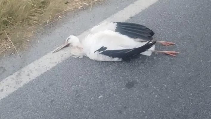 Büyükçekmece'de leyleklerin çarptığı trafoda yangın
