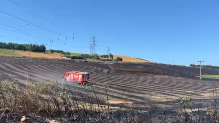 Büyükçekmece'de tarlada yangın: Alevler evlere sıçramadan söndürüldü