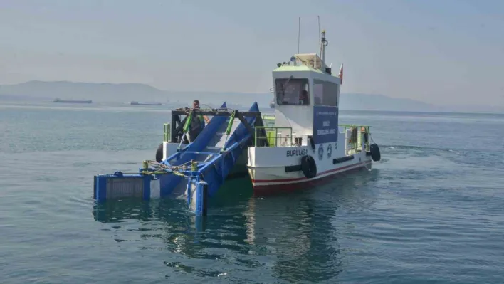 Büyükşehir'den deniz temizliği