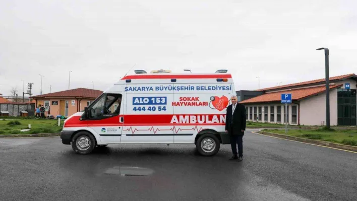 Can dostlar için yeni hizmet: Sokak hayvanları ambulansı