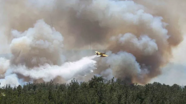 Çanakkale'de alevler yeniden yükseldi, havadan karadan müdahale sürüyor