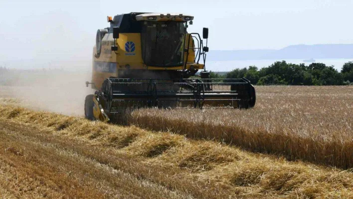 Çanakkale'de arpa hasadı başladı