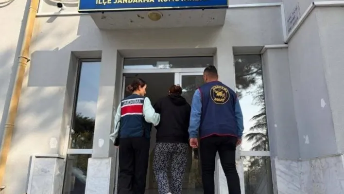 Çanakkale'de boş arazide bulunan bebek cesediyle ilgili 1 kişi gözaltına alındı