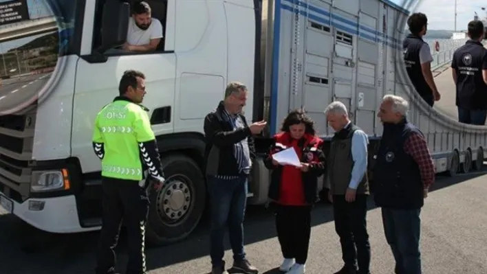 Çanakkale'de canlı hayvan nakil araçları kontrolleri sıklaştırıldı