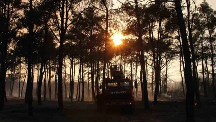 Çanakkale'de devam eden yangında 3 köy boşaltıldı