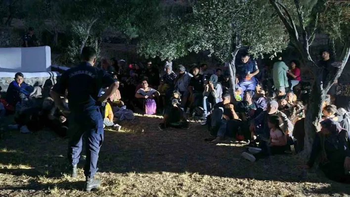 Çanakkale'de kaçak göçmen operasyonu: 4 organizatör ile 51 kaçak göçmen yakalandı