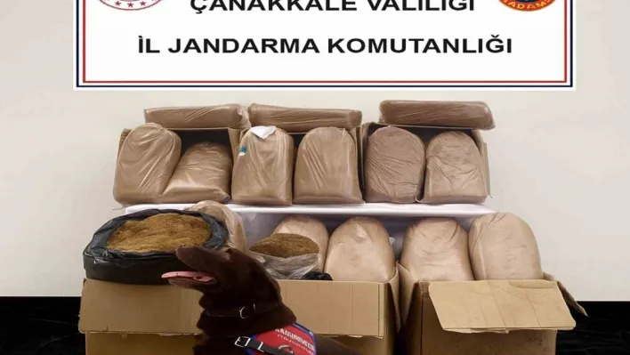 Çanakkale'de kaçakçılık operasyonu