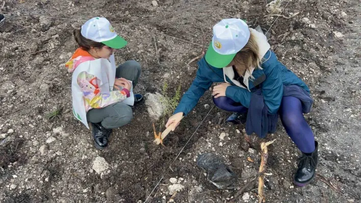Çanakkale'de Milli Ağaçlandırma Günü çerçevesinde fidanlar toprakla buluştu