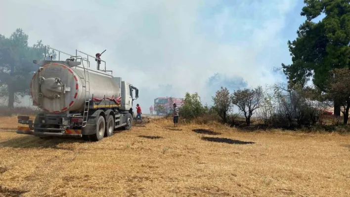 Çanakkale'de orman yangını kontrol altına alındı