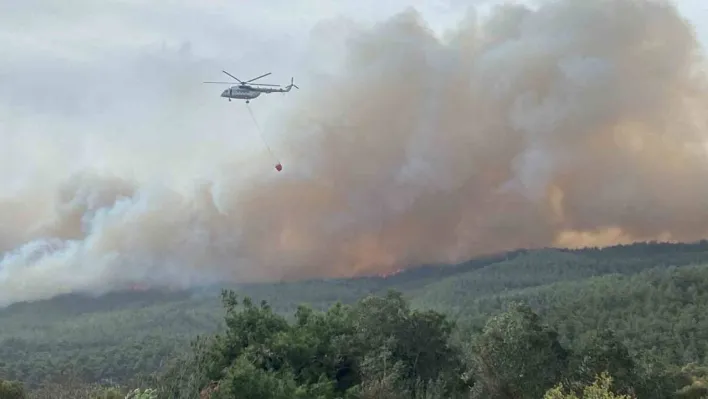 Çanakkale'de orman yangını...Bir köy boşaltıldı