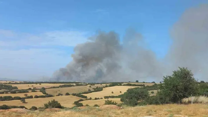 Çanakkale'de orman yangınına müdahale ediliyor