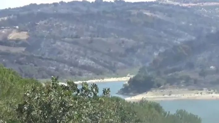 Çanakkale'de orman yangınını kontrol altına alma çalışmaları sürüyor