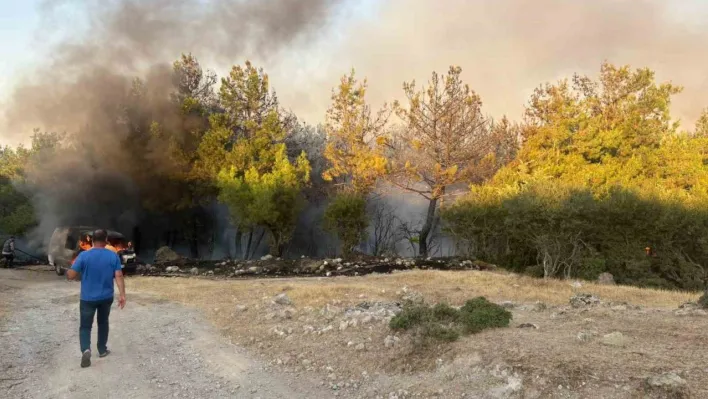 Çanakkale'de park halindeki midibüste çıkan yangın ormana sıçradı