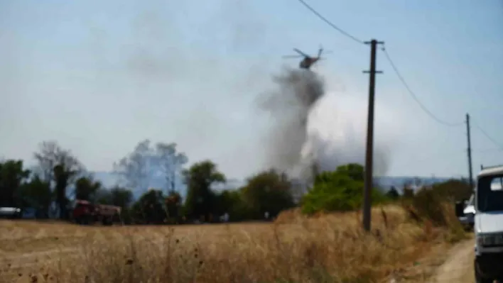 Çanakkale'de tarım arazinde yangın  kontrol altına alındı