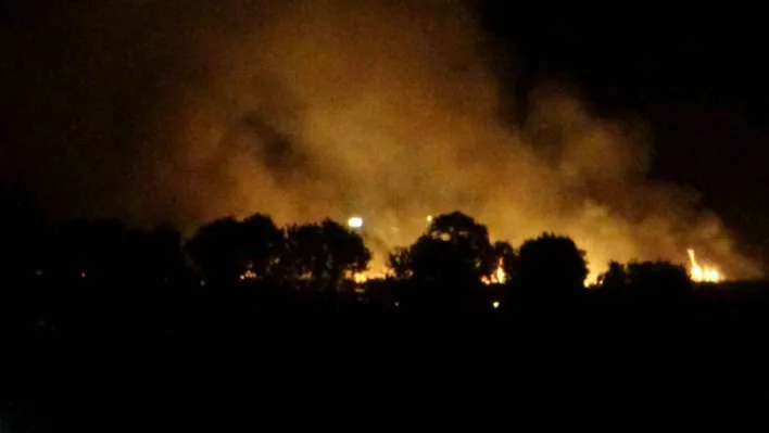 Çanakkale'de tarım arazisinde çıkan yangın kontrol altına alındı