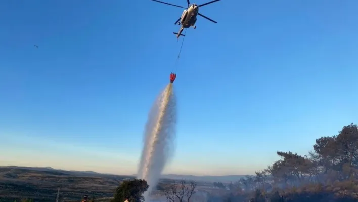 Çanakkale'deki orman yangını kontrol altına alındı