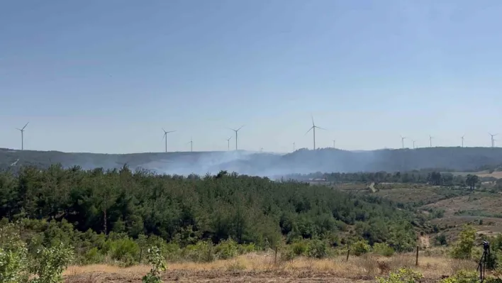 Çanakkale'deki orman yangını kontrol altında