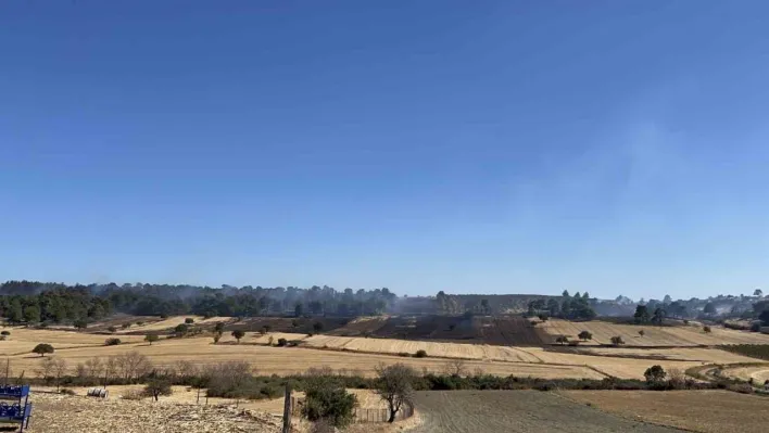 Çanakkale'deki orman yangını kontrol altına alındı