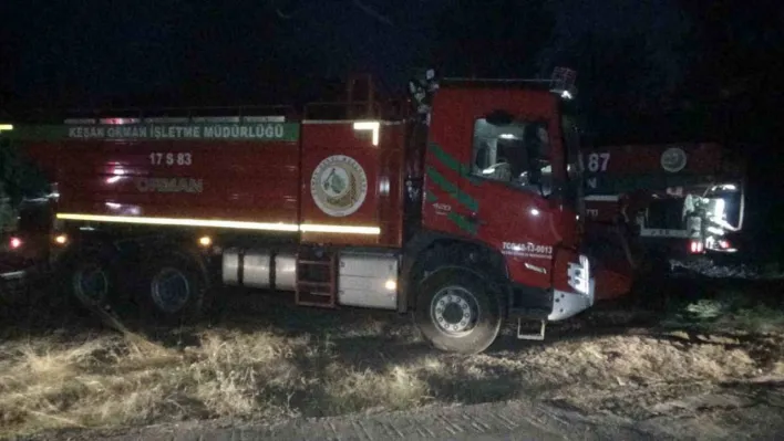 Çanakkale'deki orman yangınına gece de havadan ve karadan müdahale ediliyor