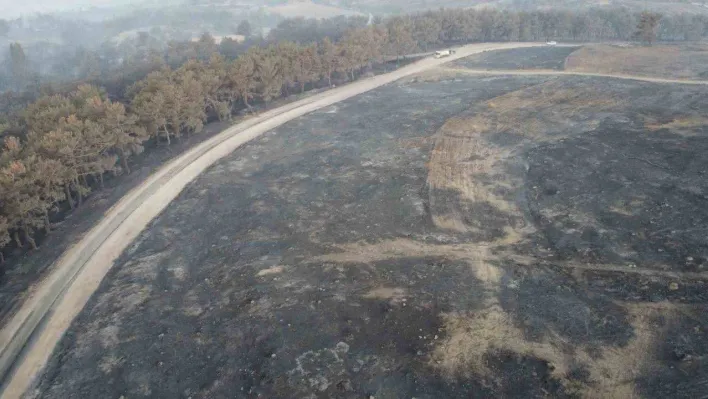 Çanakkale'deki orman yangınına 38. saatte ekipler müdahale etmeye devam ediyor