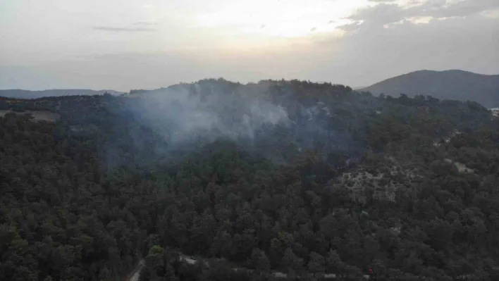 Çanakkale'deki orman yangınına günün ilk ışıklarıyla hava müdahalesi başladı