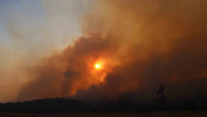 Çanakkale'deki yangında 126 vatandaş tahliye edildi
