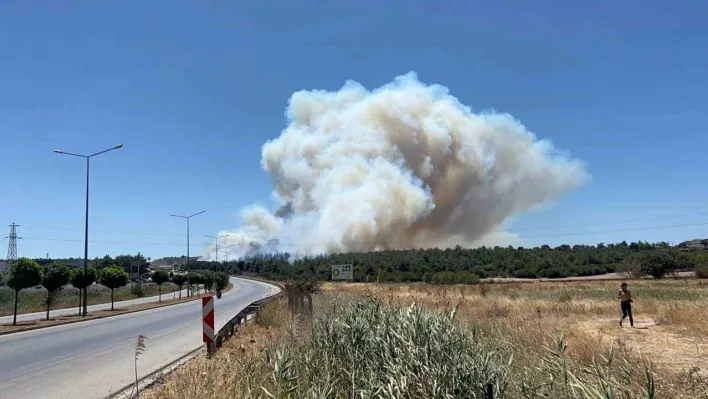 Çanakkale'deki yangında tedbir amaçlı Güzelyalı bölgesindeki vatandaşlar tahliye ediliyor