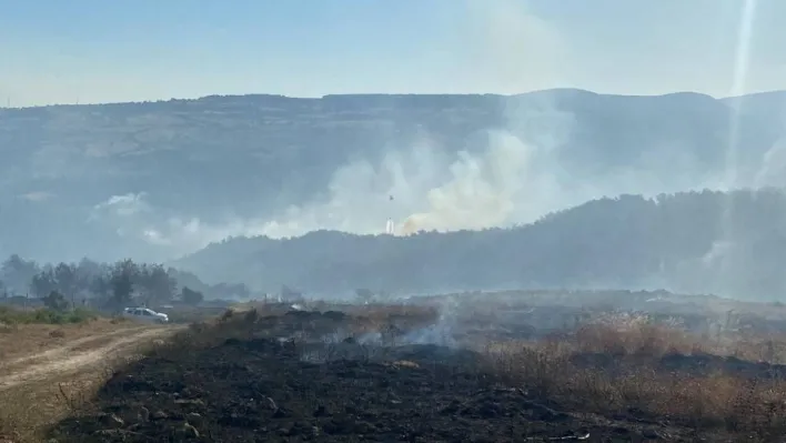 Çanakkale Valiliği orman yangınlarına karşı uyardı