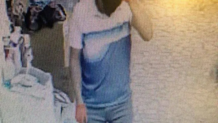 Çekçekli arabayla geldiler, bilgisayar monitörü çaldılar