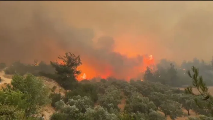Cepheye gider gibi alevlerin üzerine böyle gittiler
