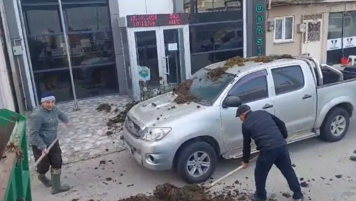 CHP'nin belediye başkan adayına dışkı şoku