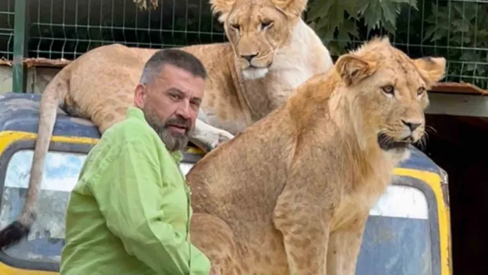 Çiftçiye saldıran aslanın sahibi: 'İnsanlara saldırmazdı, sosyal bir hayvandı'