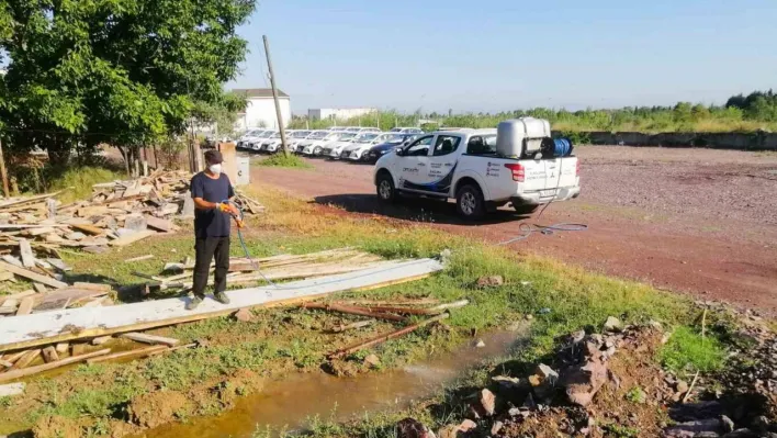 Çiftlikköy'de yaz sezonu ilaçlamaları sürüyor