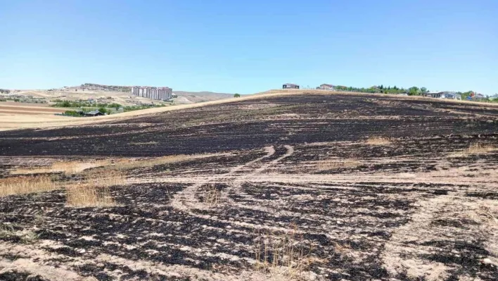 Çöpten çıkan yangın 300 dönümlük ekili araziyi küle çevirdi