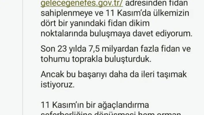 Cumhurbaşkanı Erdoğan'dan 11 Kasım Milli Ağaçlandırma Günü mesajı