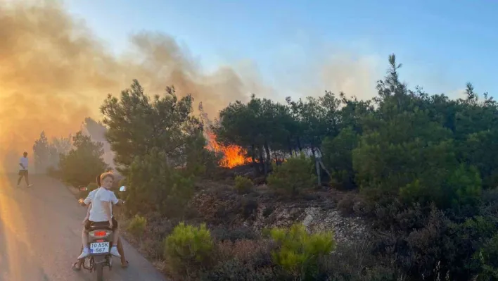 Cunda Adası'ndaki orman yangını büyümeden söndürüldü